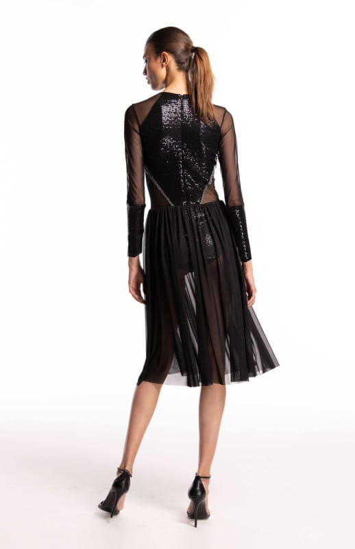 long sleeve black sheer dress