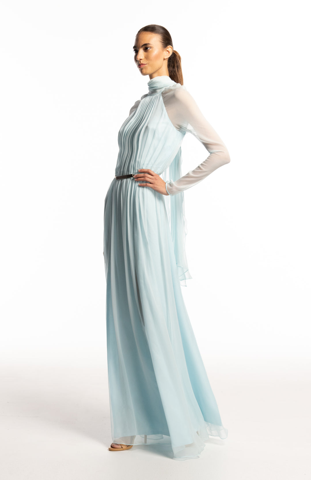 Long silk chiffon dress with sleeves