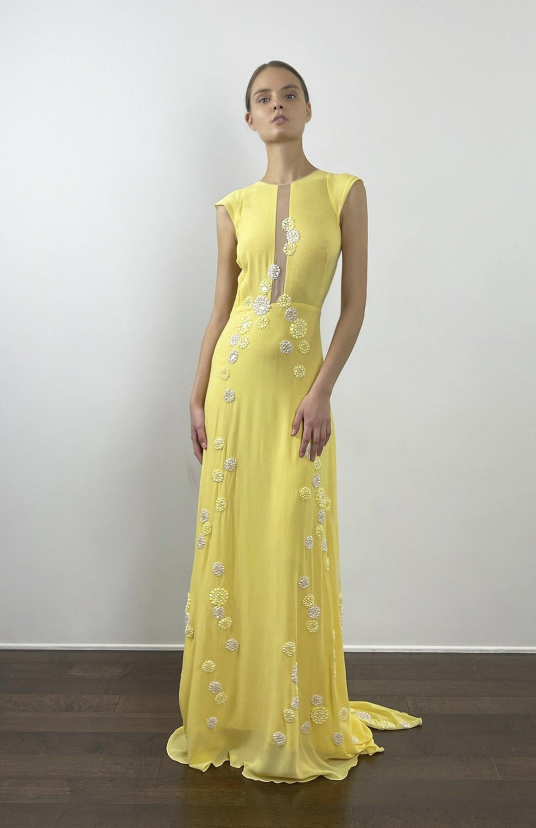 Yellow, sleeveless, red carpet dress with sheer, nude panels, hand applique lace embellishment and long train.