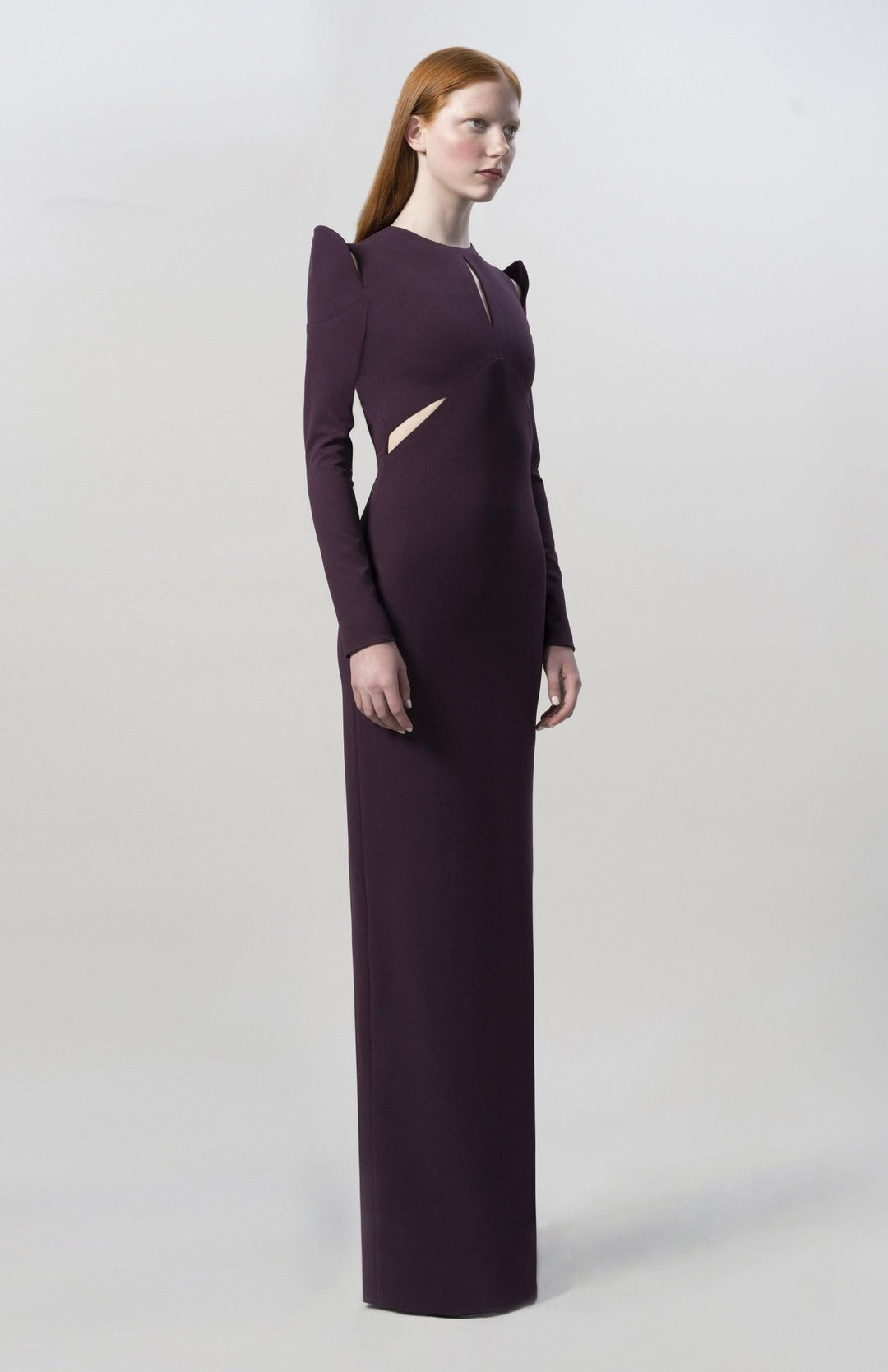 plum fitted long dress