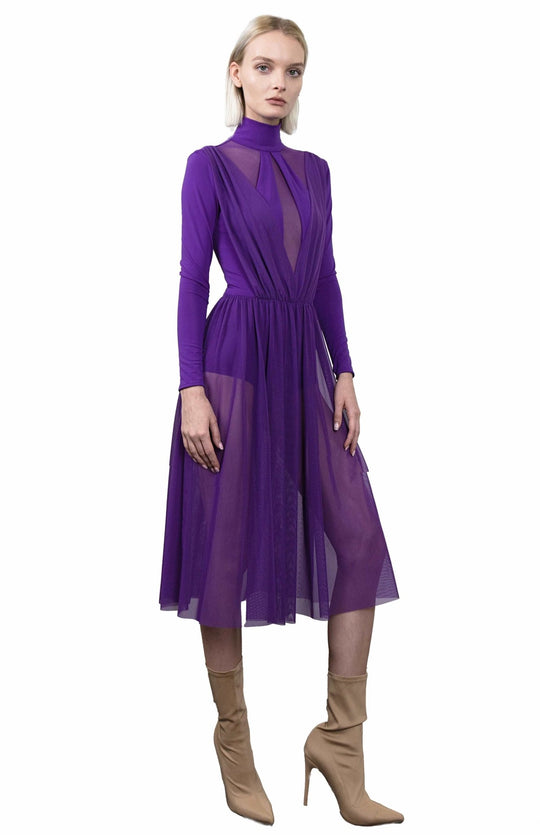 Mauve, ballerina style, bodysuit dress, with long sleeves, turtleneck and gathered sheer skirt below the knee.